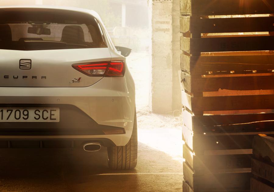 SetRatioSize900650-005LEONCUPRA290